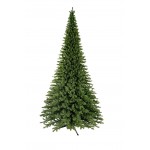 Lauko eglutė AJANINĖ 350 cm