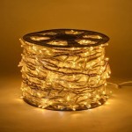 LED girlianda 100 m 1000 diodų šiltai balta, IP67