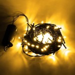 Šviečianti LED girlianda su baterijomis 10,2m  (šiltai baltos spalvos)