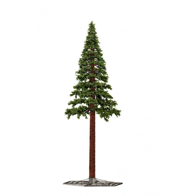 Lauko eglutė PINE, 580 cm