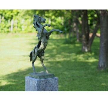 Sodo skulptūra Žirgas, 65x49x18