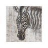 Paveikslas Zebras, 80x80