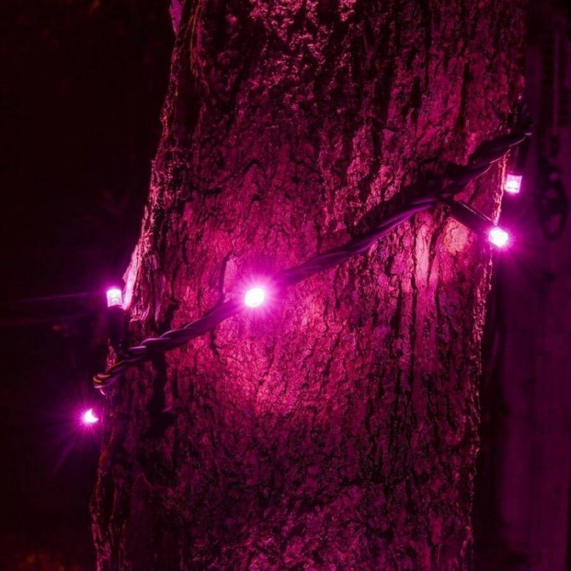 LED girlianda 5m, 50 diodų, rožinė, IP44