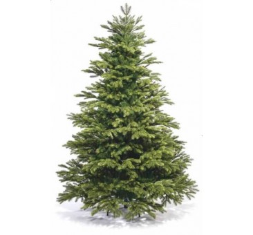 Eglutė ROYAL NOEL 215 cm