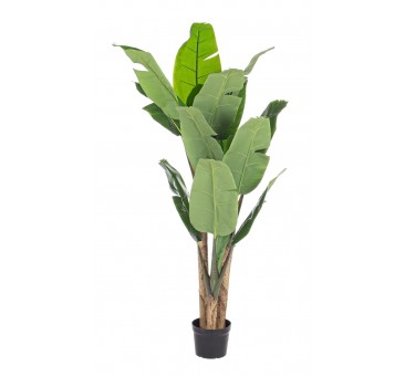 Dirbtinis augalas BANANMEDIS, 170 cm