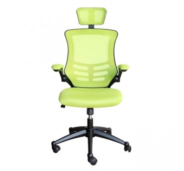 Biuro kėdė RAGUSA šviesiai žalia