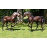 Sodo skulptūra 2 Arkliai 112x40x135 cm