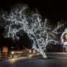 LED girlianda 100 m 600 diodų šaltai balta