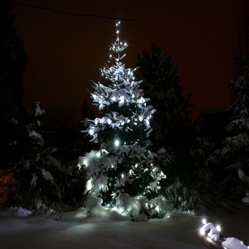 LED girlianda 100 m 600 diodų šaltai balta