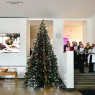 Dirbtinė eglutė ALBERA 300 cm