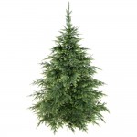 Eglutė NATURE REAL PREMIUM 100% PE 180 cm