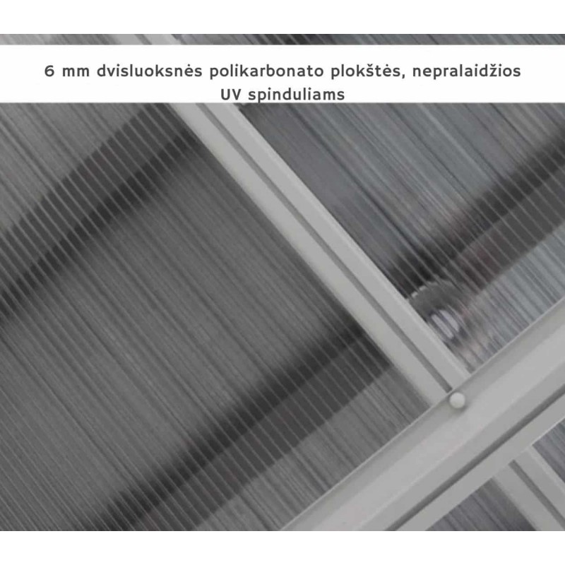 Pastogė ATLANTA 3x5m, WHITE