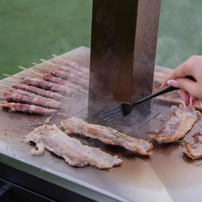 Malkinė kepsninė su kaminu BBQ PRODIGY OVENEAT