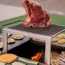 Malkinė kepsninė BBQ TOWER OVENEAT su malkų laikymo vieta