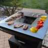 Malkinė kepsninė BBQ TOWER OVENEAT su malkų laikymo vieta