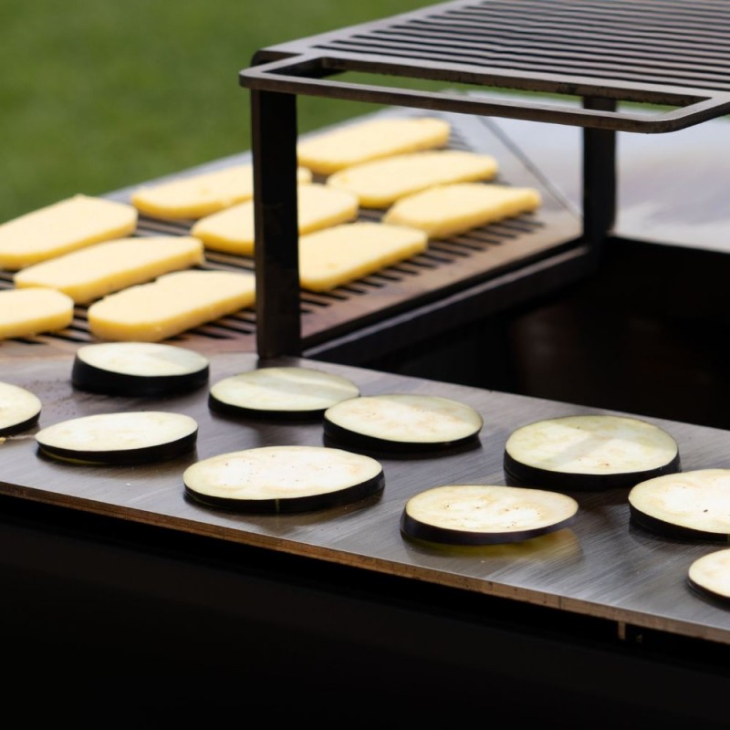 Malkinė kepsninė BBQ COMBO OVENEAT su malkų laikymo vieta