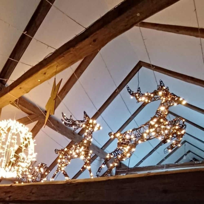Kalėdinė 3D dekoracija – du elniai su rogėmis, 380 LED šiltai balta spalva, 180x86x18cm