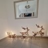 Kalėdinė 3D dekoracija – du elniai su rogėmis, 380 LED šiltai balta spalva, 180x86x18cm