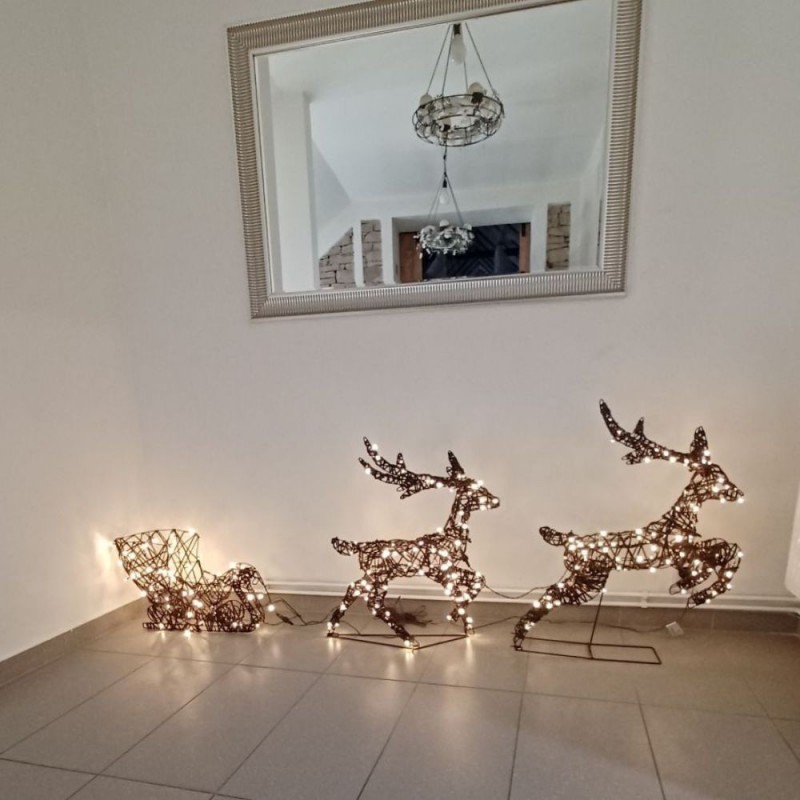 Kalėdinė 3D dekoracija – du elniai su rogėmis, 380 LED šiltai balta spalva, 180x86x18cm